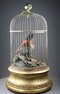 Large single antique singing bird-in-cage, by Phallibois