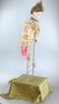 Antique girl Gymnast-on-ladder musical automaton, by Leopold Lambert