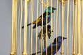 Museum-standard ormolu-bronze and Sevres-plaques double singing birds-in-cage, by Bontems