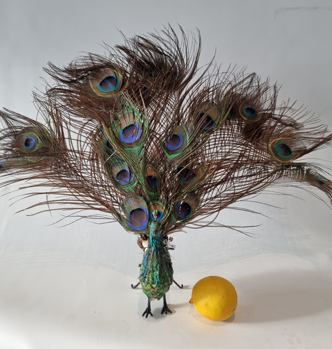 A very rare antique walking and fantail-displaying Indian peacock automaton, by Roullet & Decamps