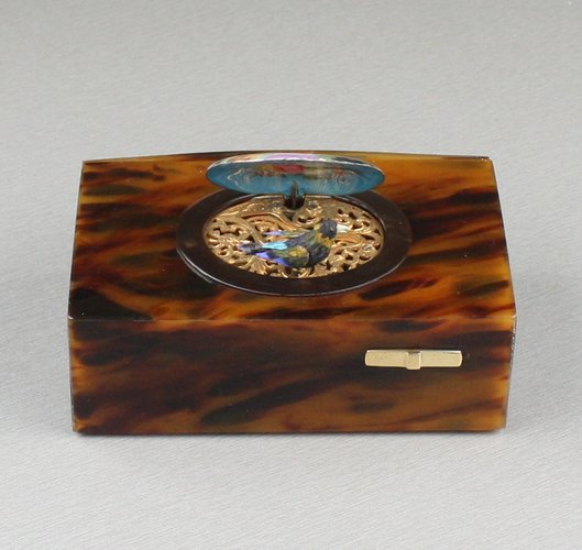 Antique Pictorial enamel and underbelly-cut tortoiseshell singing bird box