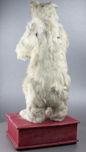 Antique drinking polar bear musical automaton, by Roullet & Decamps