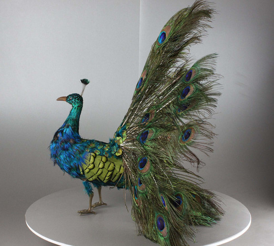 Antique musical walking Indian peacock automaton, by Roullet & Decamps