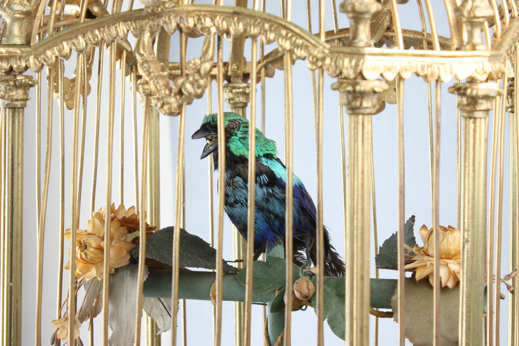 A stunning and very fine gilt bronze and Sevres plaque single singing bird-in-cage, by Bontems